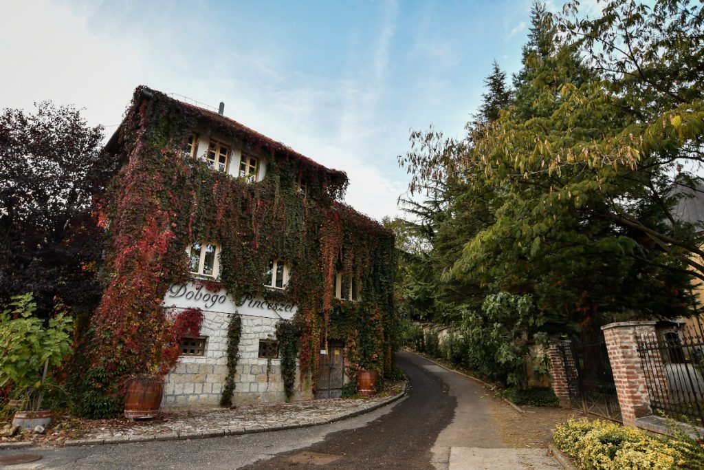 Gebäude der Weinkellerei Dobogó