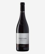 “Csakegyszóval” Egri Pinot Noir