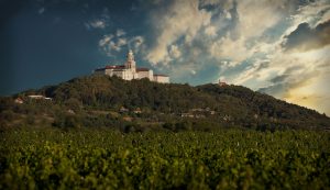 Pannonhalma from the vineyards